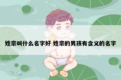 姓宗叫什么名字好 姓宗的男孩有含义的名字