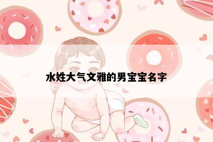 水姓大气文雅的男宝宝名字