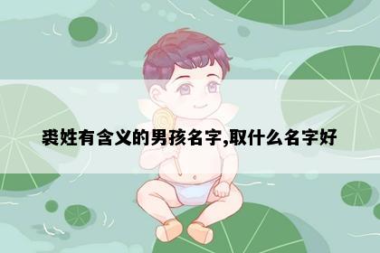 裘姓有含义的男孩名字,取什么名字好