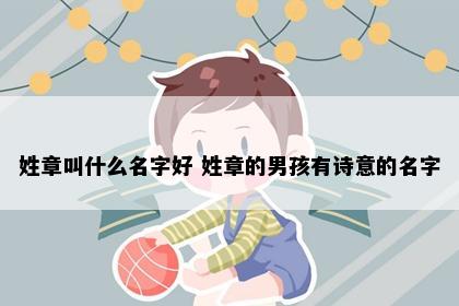 姓章叫什么名字好 姓章的男孩有诗意的名字