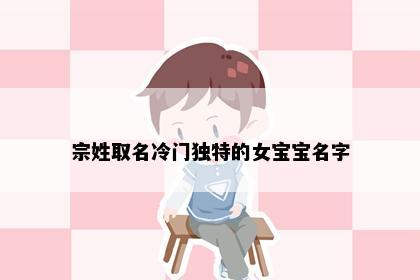 宗姓取名冷门独特的女宝宝名字