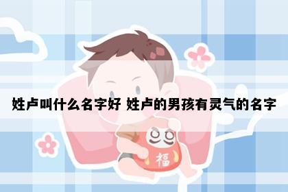姓卢叫什么名字好 姓卢的男孩有灵气的名字