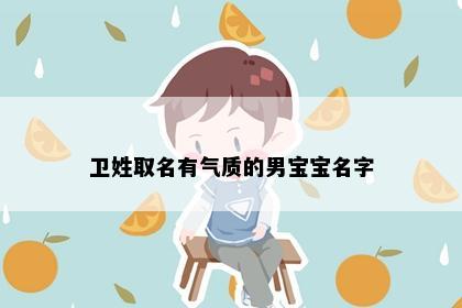 卫姓取名有气质的男宝宝名字