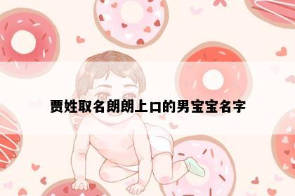 贾姓取名朗朗上口的男宝宝名字
