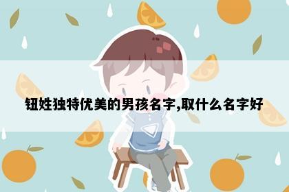 钮姓独特优美的男孩名字,取什么名字好
