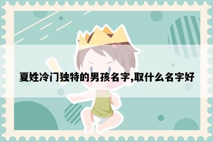 夏姓冷门独特的男孩名字,取什么名字好