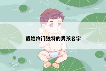 戴姓冷门独特的男孩名字