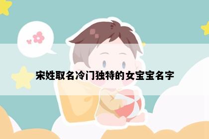 宋姓取名冷门独特的女宝宝名字